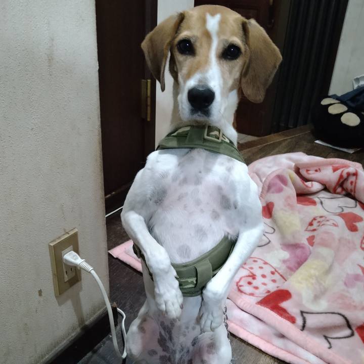 0671e746 b9a5 4fcd 9d5e d24a7c03c0f6 1666083142038