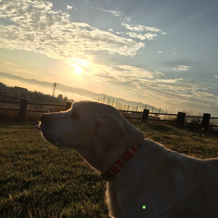 067264b2 9105 4ca5 85d0 bd45eb16997f 1509113130485