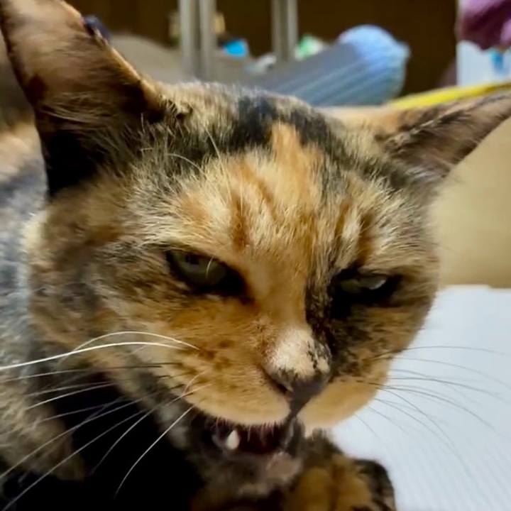 067314a6 925f 4f03 b2a4 013d21a462a7 1752111943603