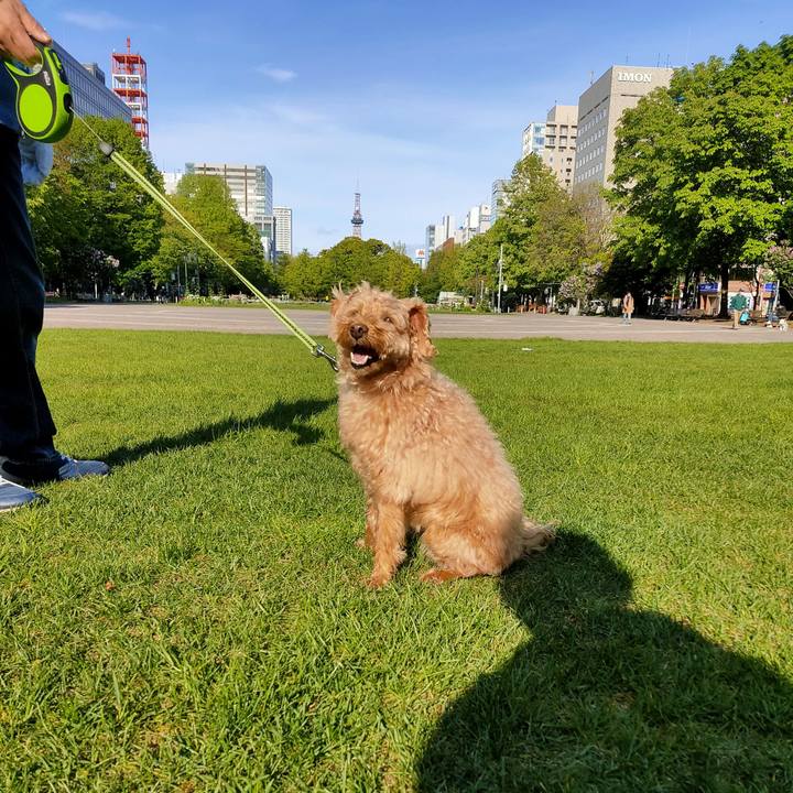 06731edb 00cf 4255 8a42 06ae0f9c937b 1590497005769