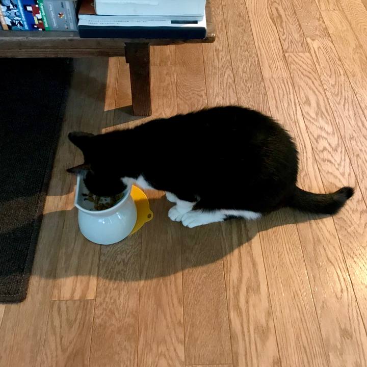 06733af5 7dbf 435c a06d 4fe953aab291 1551926267070