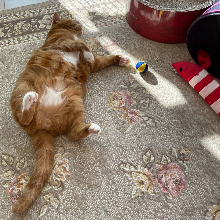 06734e05 429d 4ff2 b056 ba3bffee6d5b 1641778266570