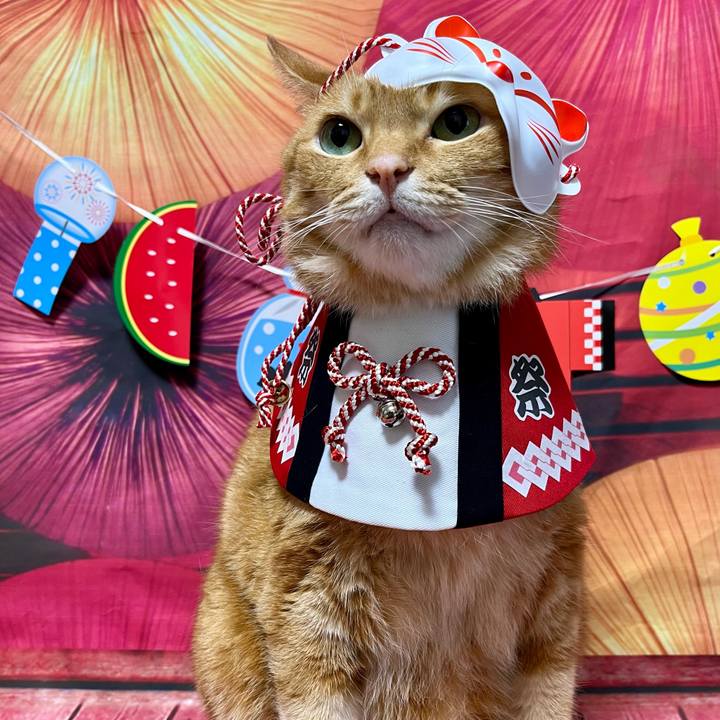 06735f2d 6303 4b31 a51f 45f043618ce9 1724581035455