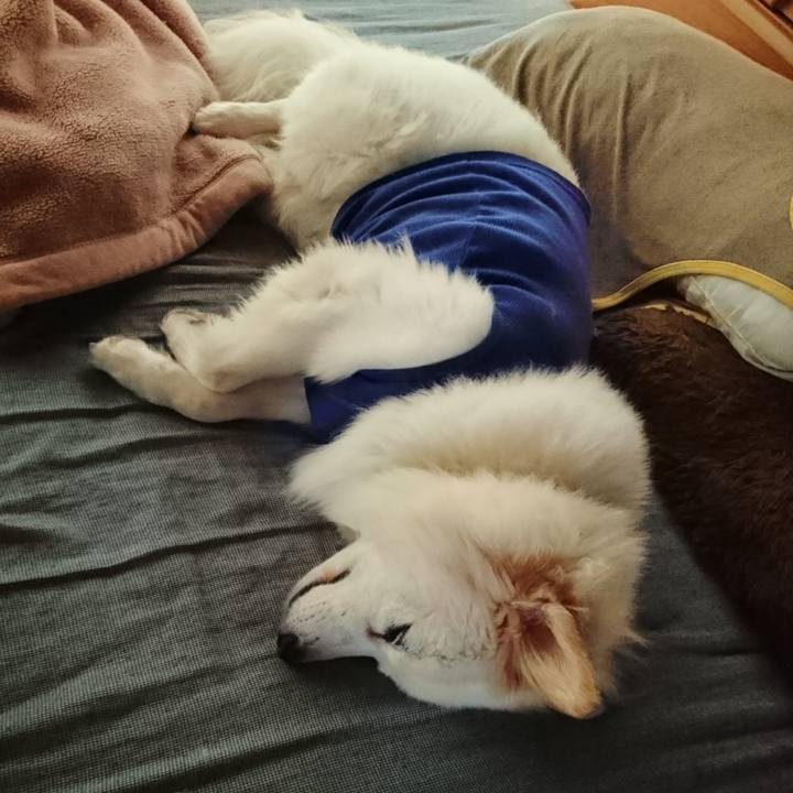 0673a233 f164 40a9 bf1e 90d27d4b6973 1535921680812