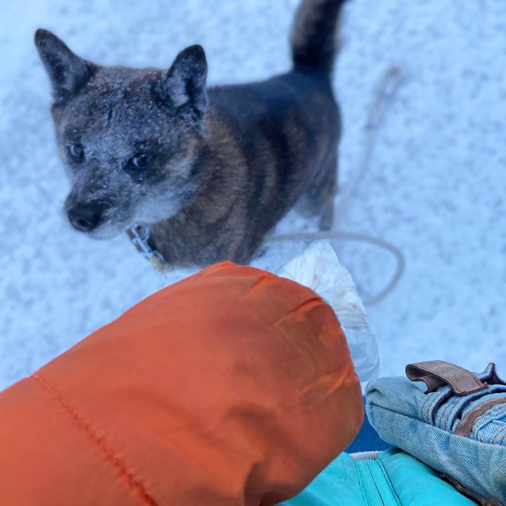 0673e854 ec88 4f35 b4f6 267ffc065f87 1609369188358