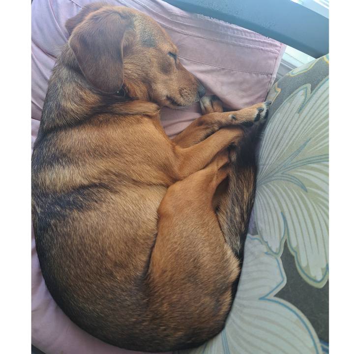 0673fec5 50ed 4ddb 9d91 d3285786063c 1758072571813