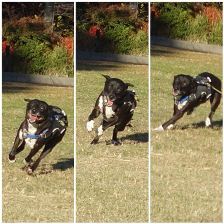 06740e12 02ce 4978 beb7 b2caeec6138a 1637713299951