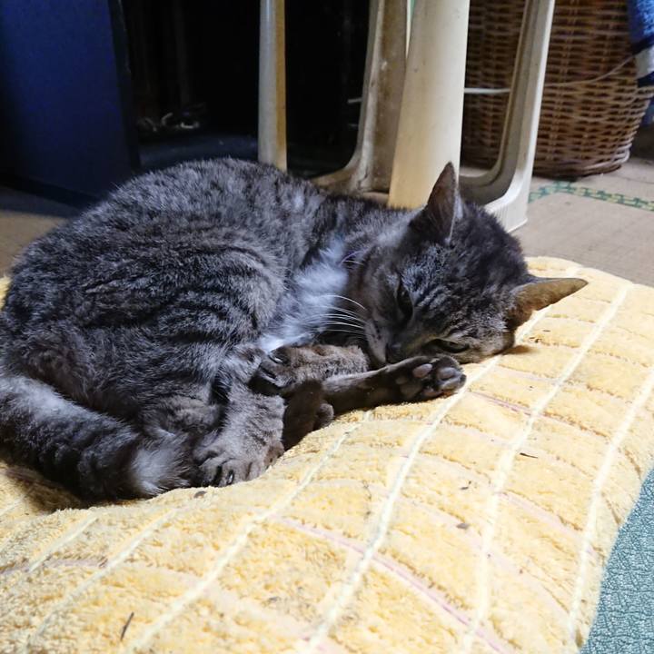 06740faa 66ed 4ecb a0b5 a3f6667b49f5 1594632743799