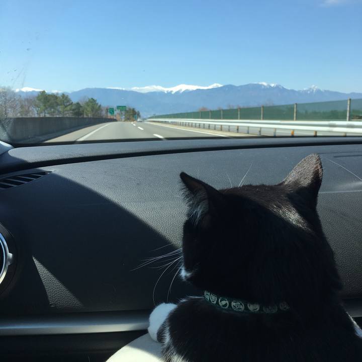 06742801 7699 41c5 9c76 cc406ff1962b 1521256369173