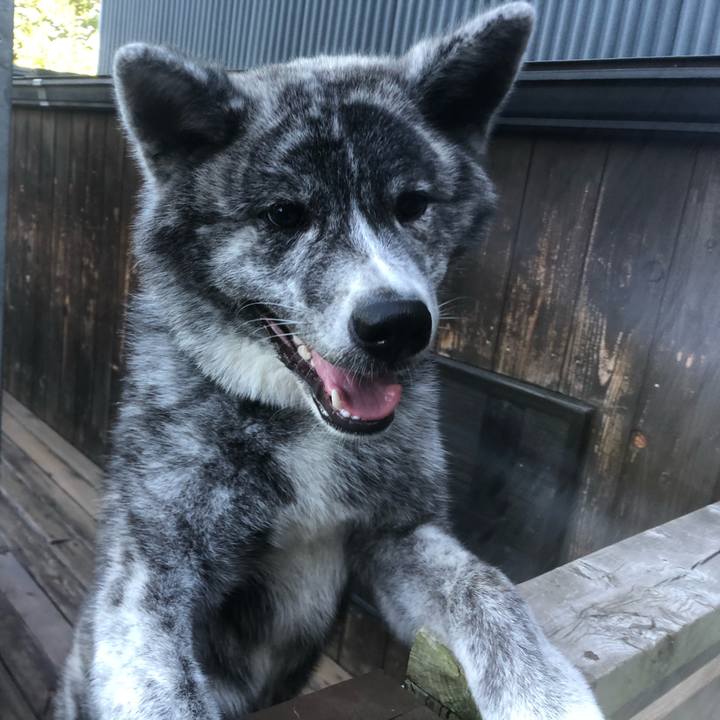 06742c0c 5a12 4338 9fa4 2126f4c6096d 1565042551270