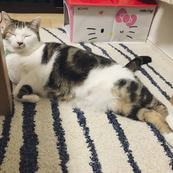 06745446 eab6 4dd6 8271 85920cd82b69 1525944100397