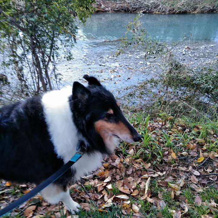 067456e6 259b 46dd a2d3 ef102ca1ffcb 1509454708638