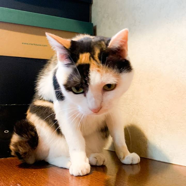 06748ebb cc7d 460d 935c 9075603d6c42 1570674223435