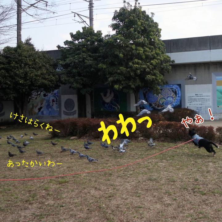 0674ae9a ee98 4d76 9220 fa59ed02c4c8 1710637583210