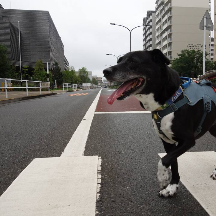 0674bbdc 2fca 4fe6 a7a0 fe7c02592842 1721175177127