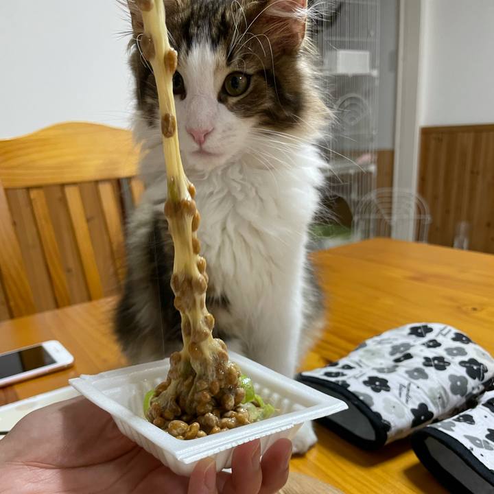 0674d071 ae10 48c9 9632 6083698e1acf 1633602020305