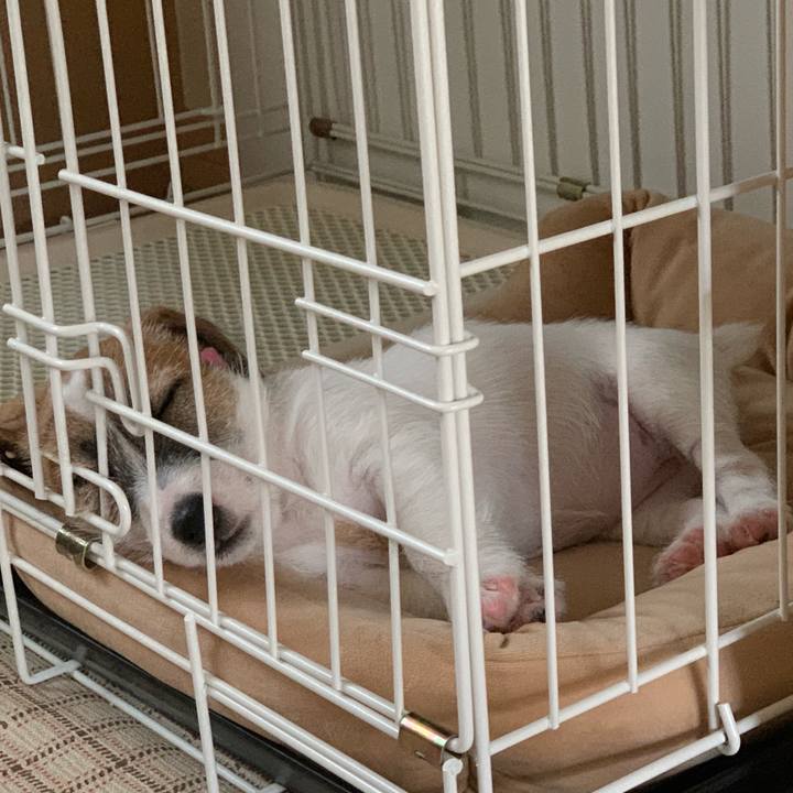 0674e9d9 290d 4d56 94a5 fb9a4cfb3324 1559285054464