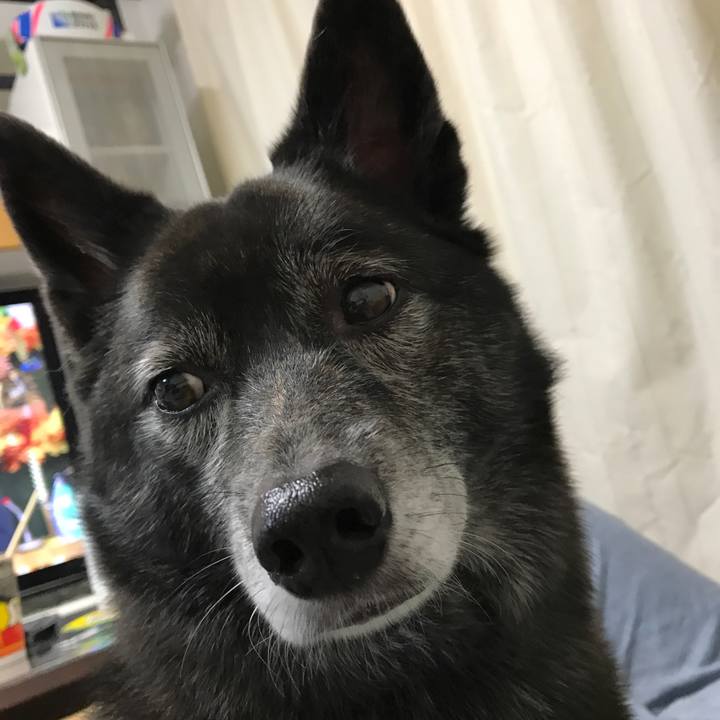 0674ef2c d15e 4e6c a846 4728a7e8c7e3 1508856086429