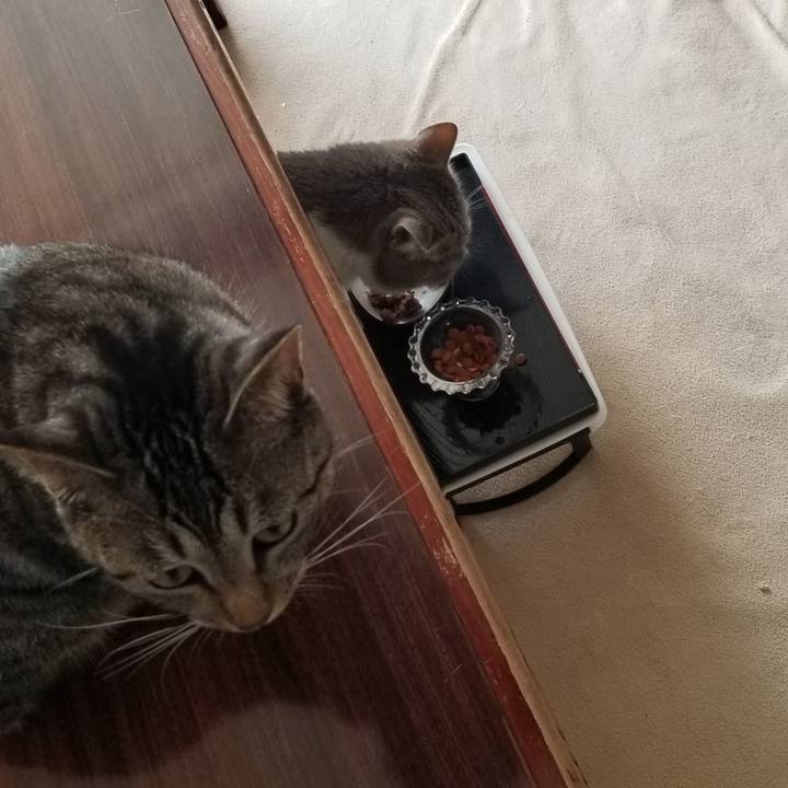 0674f5d8 514e 416b 8453 00ec28aae1c3 1690980765114