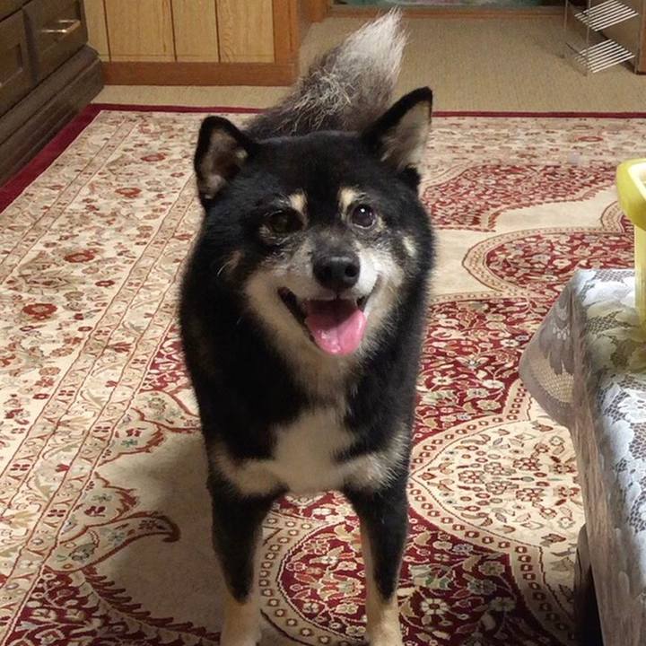 06757446 129c 49e6 9b28 f206bd5479e0 1599969561325