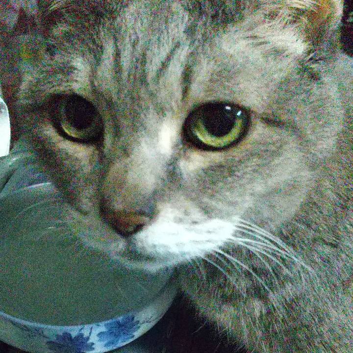 06758f35 16a7 44d8 a749 7013aaf4086b 1680088245687