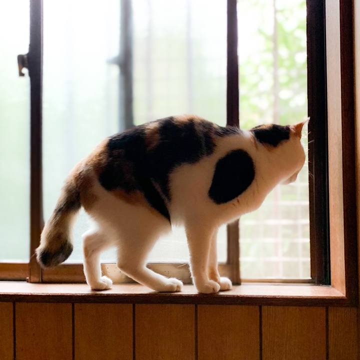 0675c0b3 a6a8 4d77 88f4 ec2638b3ccc0 1576376902507