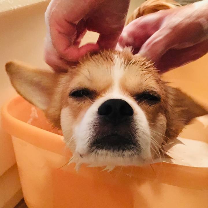 0675cb80 9932 4d42 9686 15144a206550 1571477603939