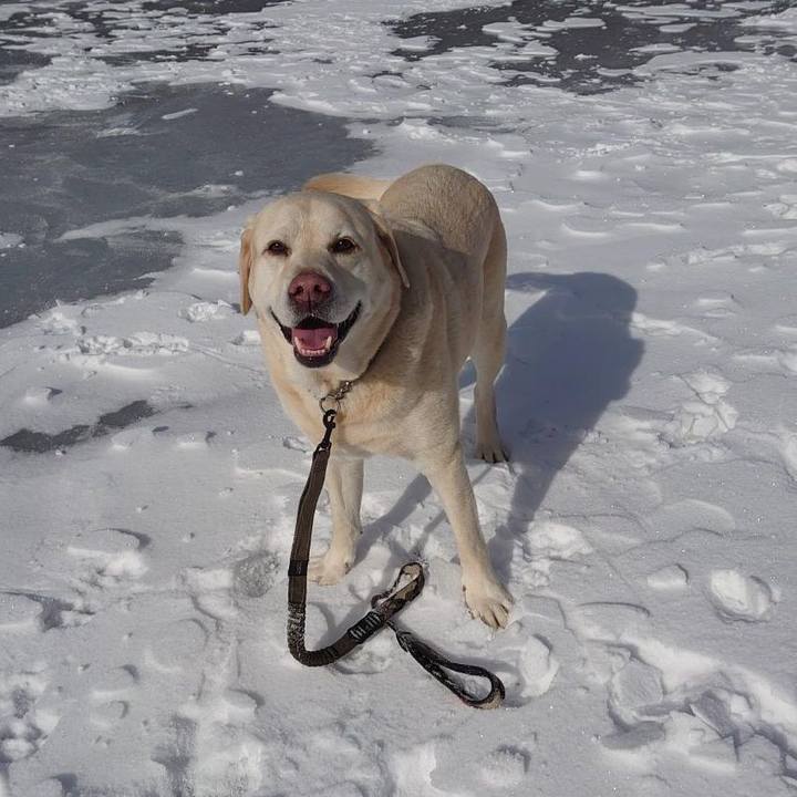 0676247a c372 4734 90d3 df72c04a713b 1735557844353