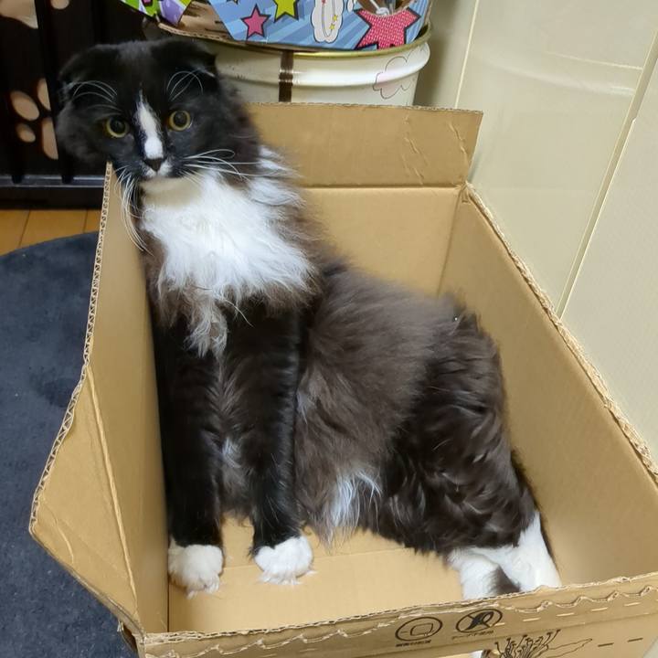 06764b3d 45e7 4bea 8ce8 d208f9799d8c 1672407469983