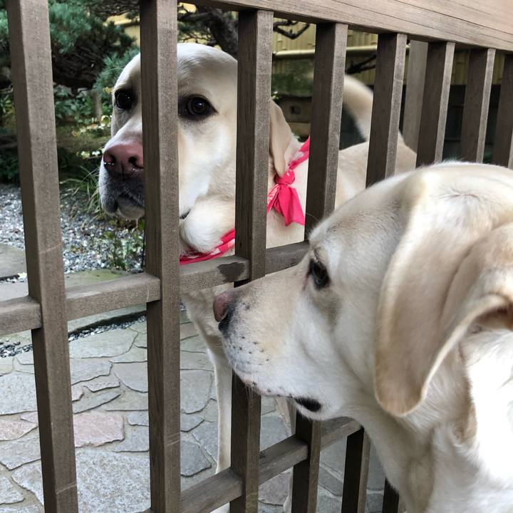 0676541e 8679 42e2 8275 2deba93b0e0a 1580732201997