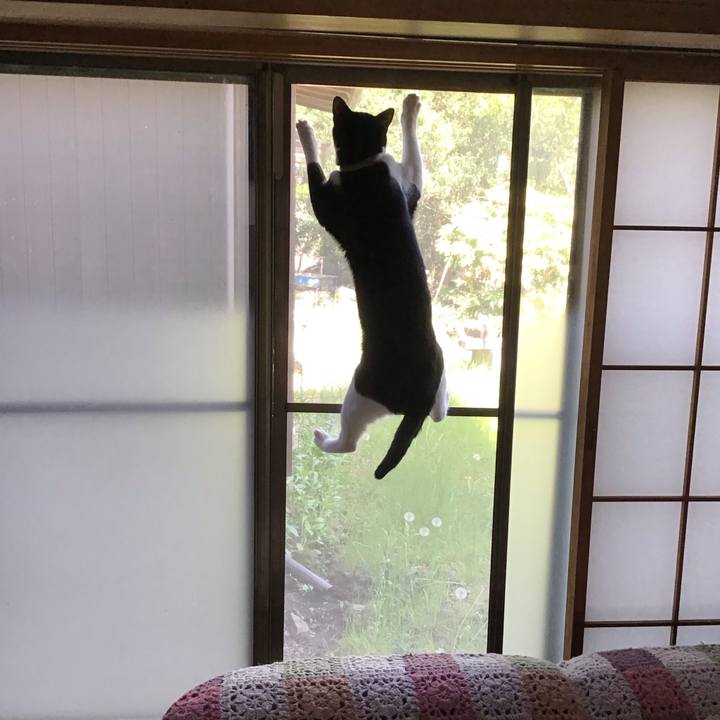 06765f18 ba9f 4bb7 9105 169e59228af2 1650615290912