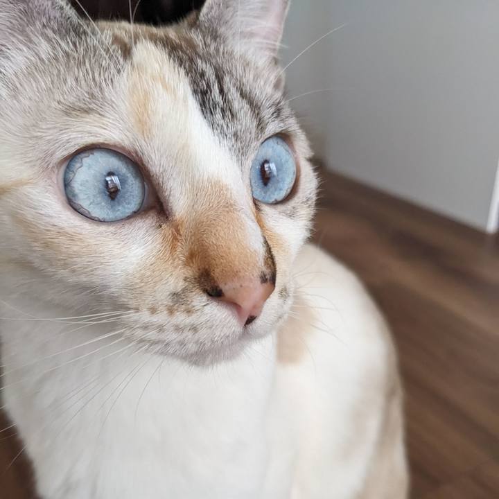 06766793 0b4c 466c b8d7 a77795523402 1748164220609