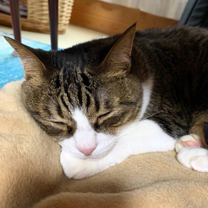 06767621 8a2b 489c 8996 f9382f6fbd29 1592642504300