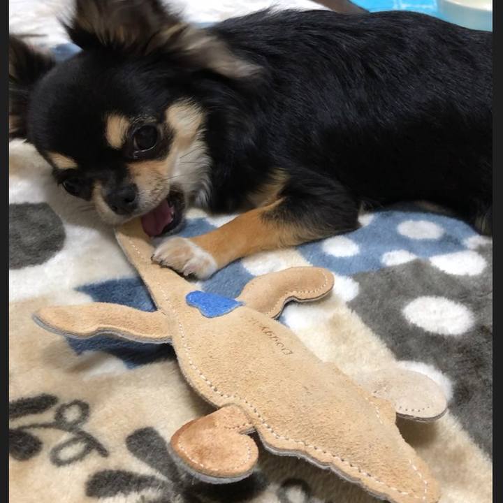 0676a765 945b 4d48 a9d5 f0a064fc3410 1549173887273