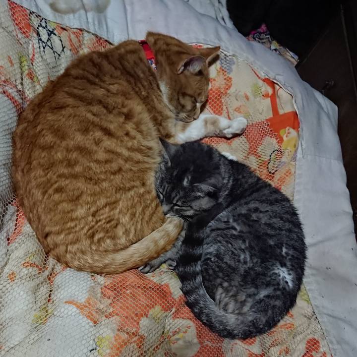 0676c2c6 e49e 47e5 a55c c74ec6b0a143 1578057851062