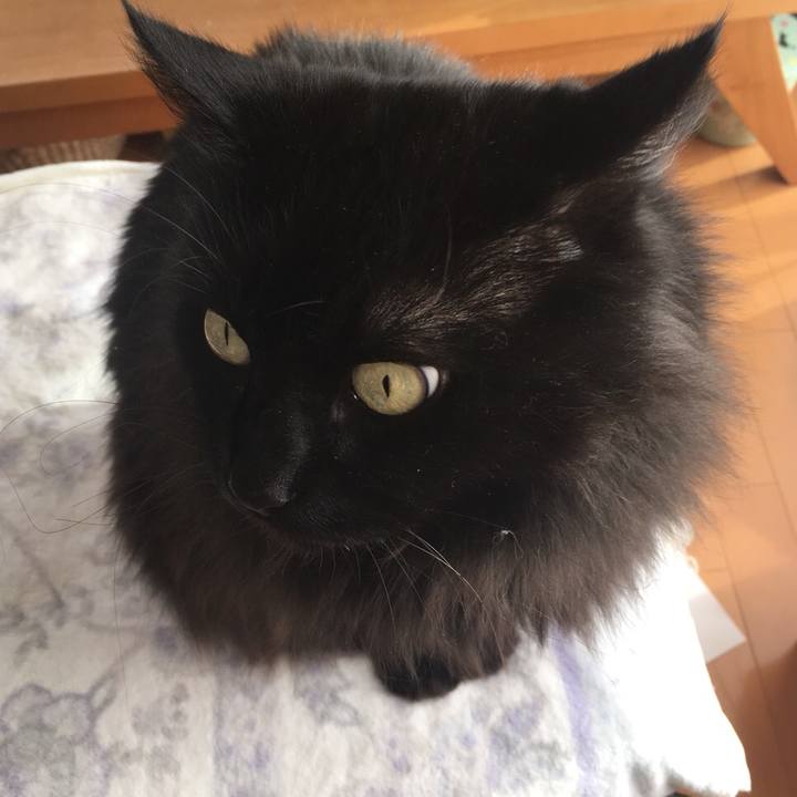 0676c47b 4c18 4868 8fc7 0670aa19b46c 1545621352572