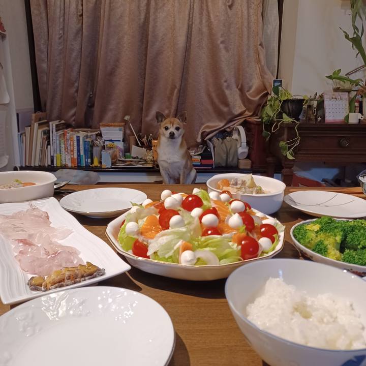 0676c795 d58a 4fd9 9034 866d3c3d53fc 1773696126752