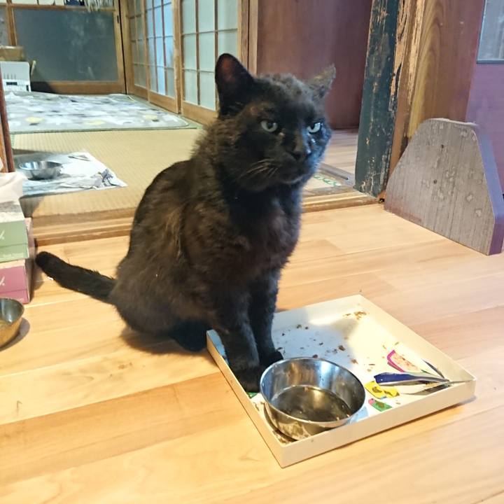 0676d060 3e2d 4210 b41f a5c87a63455f 1623320103828