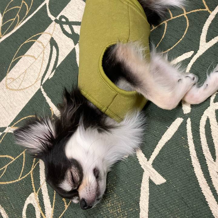 0676f3a7 f636 4680 935a a0d0f0089707 1644590628139