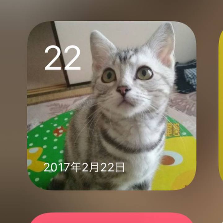 0676f884 ae4d 4142 bf9a f47cf0624cd4 1645535918813