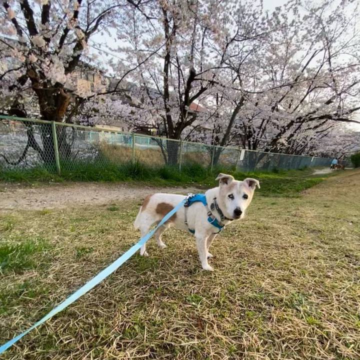 06770abd ba5b 4006 bddd dfd150127a9f 1744205672528