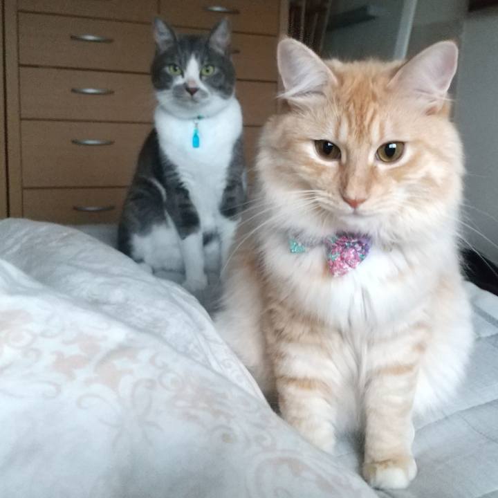 0677578c 4bcd 4ed4 92fd d72fb95cca7e 1630626933523