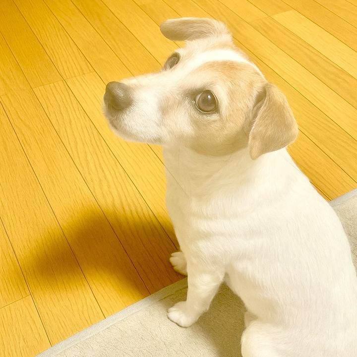 06779766 f4fe 49f9 98c2 1f28b49bb278 1755090600214