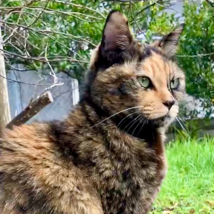 0677c72b 3e09 4834 9491 fe24c22c47dc 1732677334308