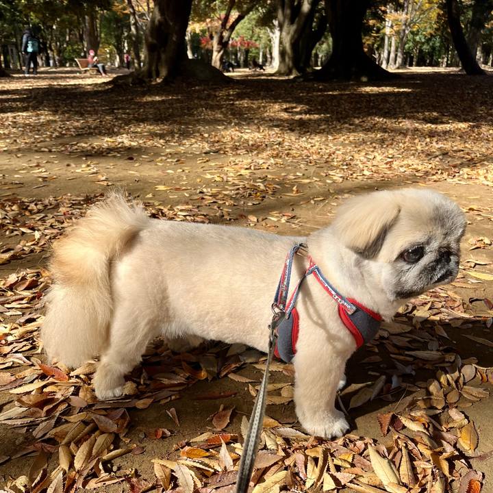 067801b7 78ac 4cc6 ac41 17d9d68018e0 1763615024840