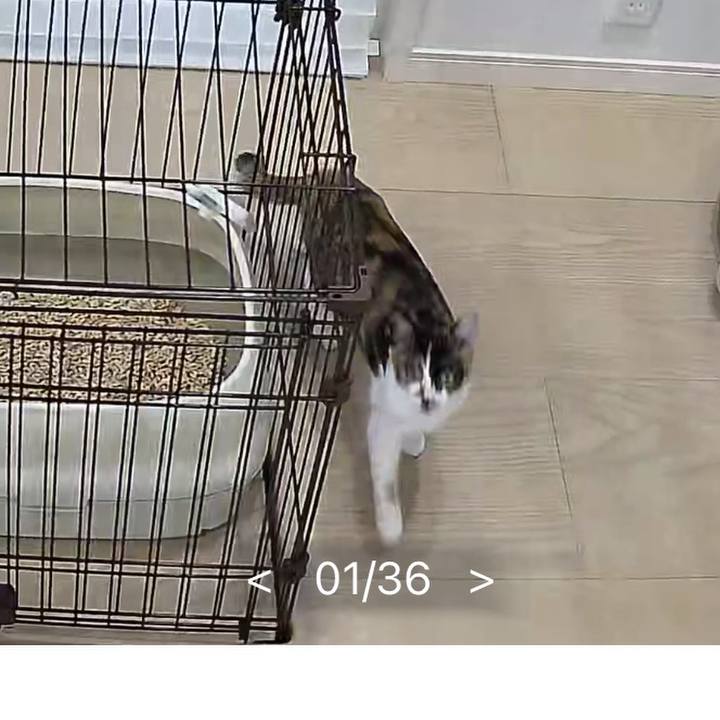 067810c9 9867 4d41 812d b10ed498c67b 1764755048894