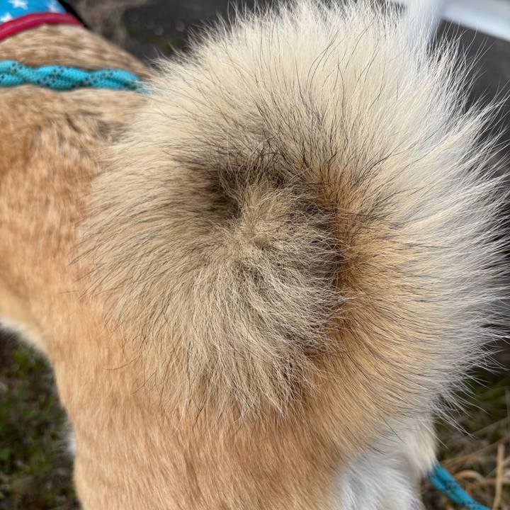 06783863 3041 4cff a1b4 1eff4f07948b 1744204291098