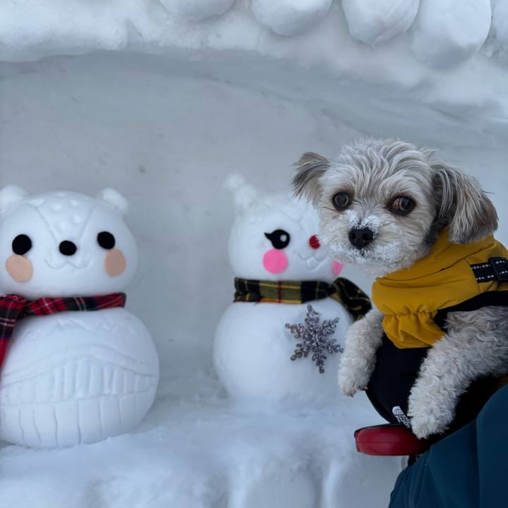 06783c01 5080 4934 94f8 61b67fed2a45 1768808961435