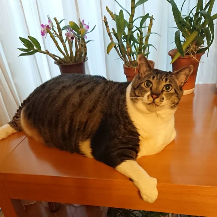 067840ed 98c7 4e79 acd4 13de0f428b4b 1579819031548