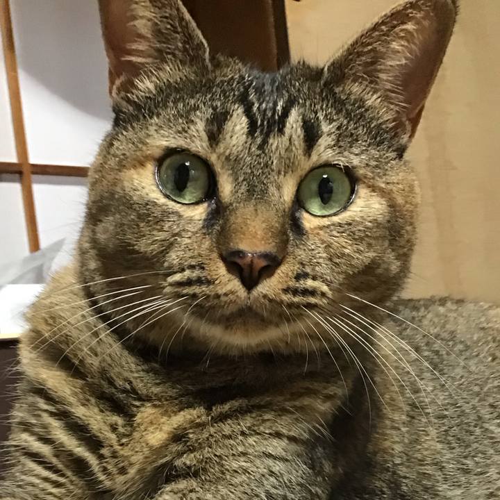 06785198 f253 419e 9b13 14d4aaf33918 1757495828856